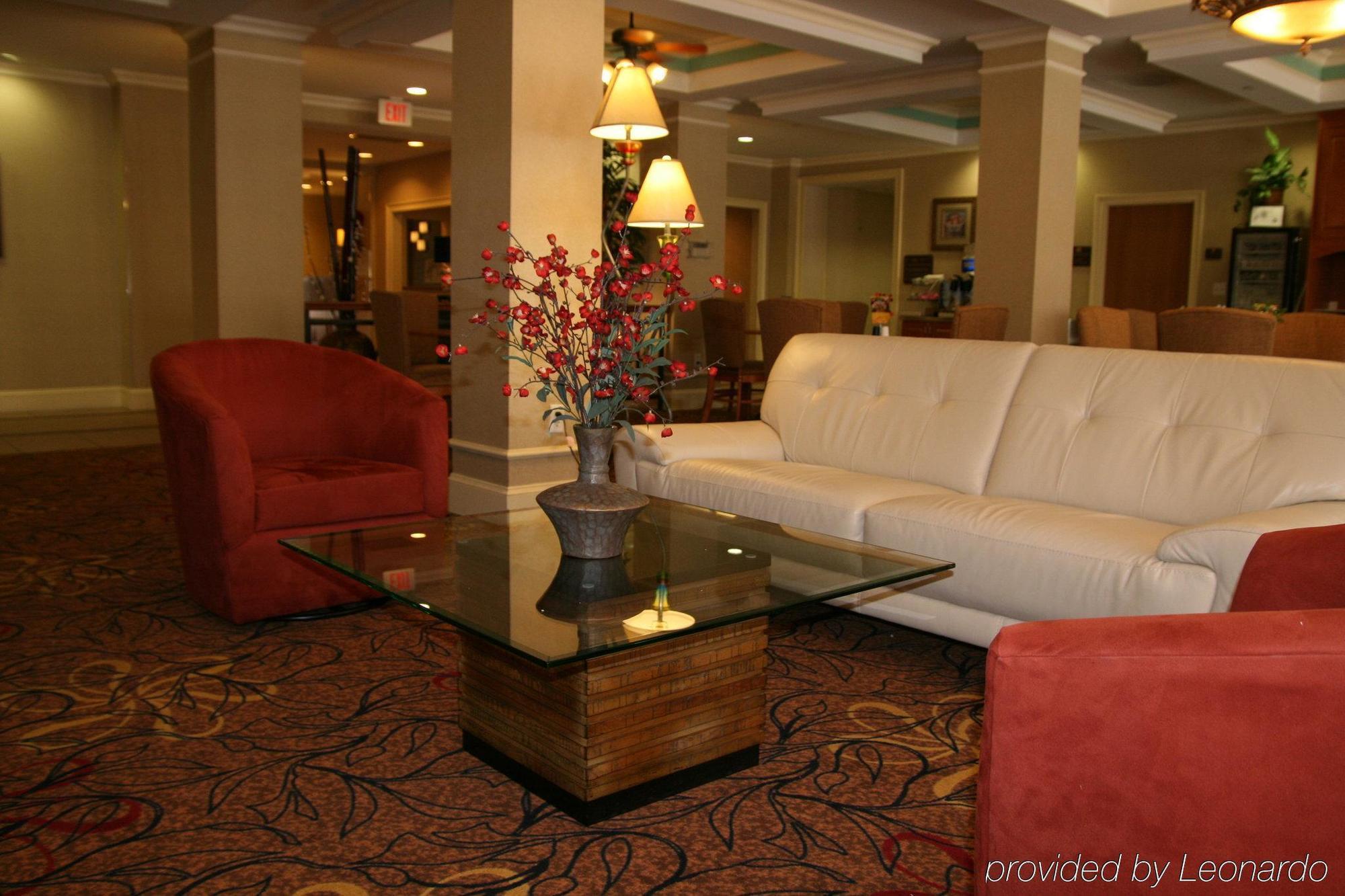 Holiday Inn Express Hotel & Suites Tampa-Anderson Road-Veterans Exp By Ihg West Chase İç mekan fotoğraf